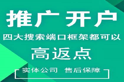 百度SEO推广公司案例分享：实战经验谈